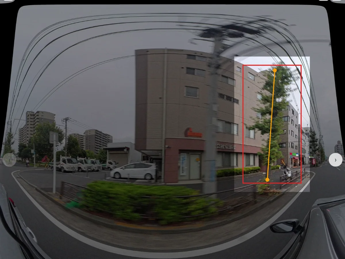 AI screening result on a 360° frame with the detection box and estimated trunk axis